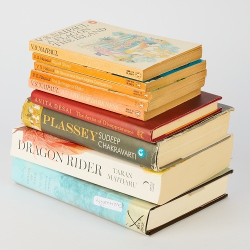 Nine Titles by South Asian Writers