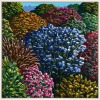 KARL MAUGHAN Kettle Park - 2