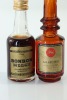 (1) Mixed Miniatures, 2 Bottles Sold as One Lot - 2