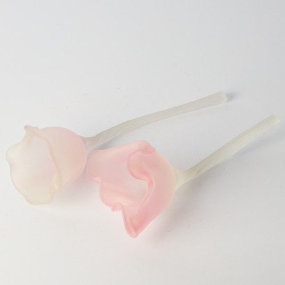 A Pair of Glass Flower by Ann Robinson