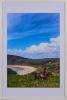 A Large Framed Horse Photograph