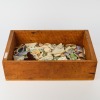 A Collection of Victorian China Fragments from a Victorian-Era Rubbish Pit