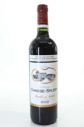 (1) 2009 Chateau Chasse-Spleen, Moulis-en-Medoc [JR17]
