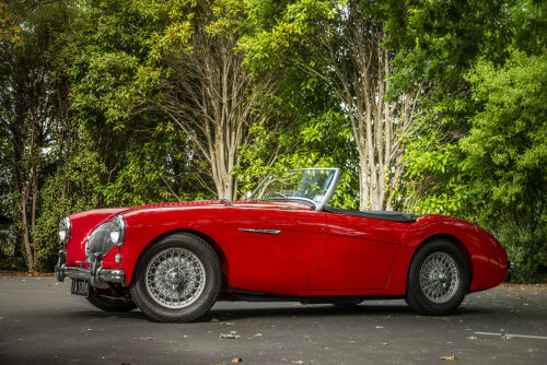 1955 Austin Healey BN1