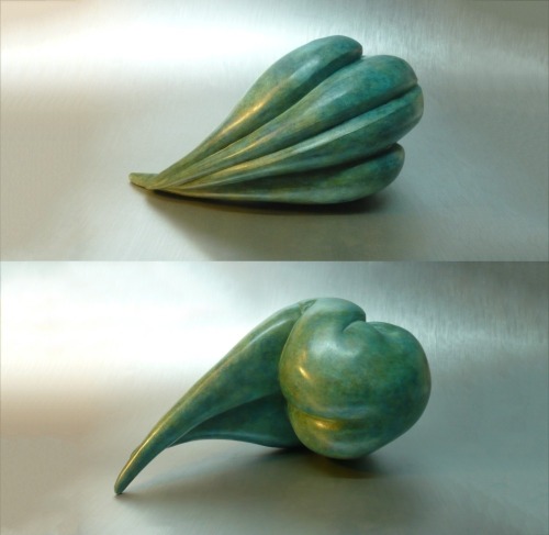 MARIAN FOUNTAIN Germination
