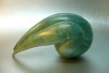 MARIAN FOUNTAIN Germination - 2