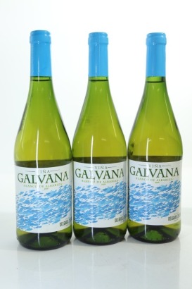 (3) 2020 Delgado Zuleta Vina Galvana, Andalucia