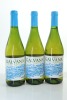 (3) 2020 Delgado Zuleta Vina Galvana, Andalucia