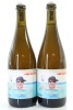 (2) 2021 Testalonga El Bandito 'I Wish I Was a Ninja' Pet Nat, Swartland
