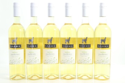 (6) 2022 Belasco de Baquedano llama Torrontes, Mendoza