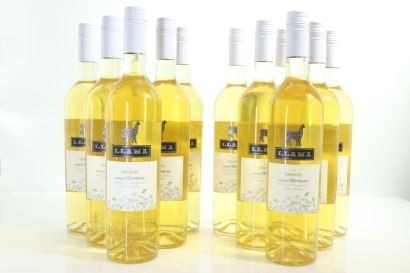 (12) 2022 Belasco de Baquedano llama Torrontes, Mendoza
