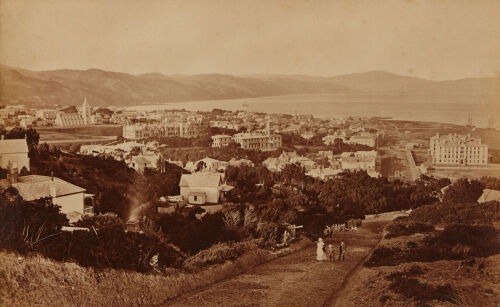 JAMES BRAGGE untitled (Wellington view)