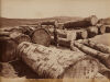 BURTON BROTHERS Taupaki Kauri Bush (stacked kauri logs)