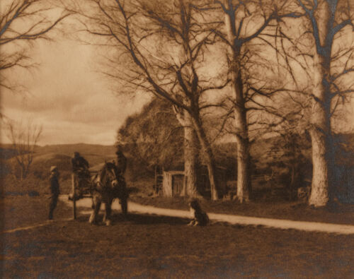 GEORGE CHANCE Wayside Chat, Otago Central