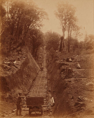 FOY BROTHERS Bush Railway Coromandel