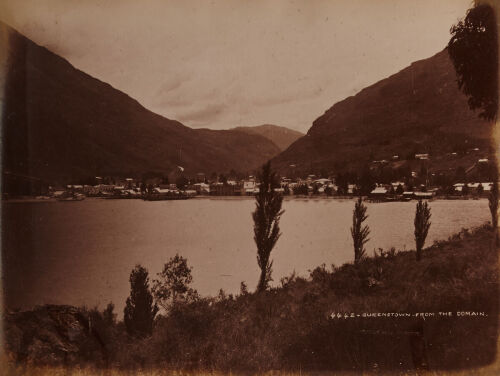 BURTON BROTHERS Queenstown from the Domain