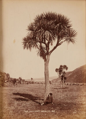 FRANK ARNOLD CRAWFORD Near Silver Stream, Dunedin NZ