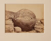 WHEELER & SON A Study. A Boulder 40 feet in circumference (Moeraki) - 2