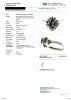Platinum, 0.75ct Sapphire / 0.19ct Diamond Cluster Ring - 3