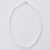 NZ Pearl, 45cm Pearl Strand with 14ct White Gold Clasp with Box - 2