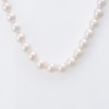 NZ Pearl, 45cm Pearl Strand with 14ct White Gold Clasp with Box