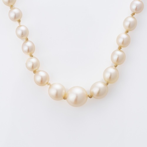 Graduated, 52cm Akoya Cultured Pearl Necklace