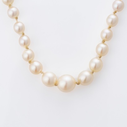 Graduated, 52cm Akoya Cultured Pearl Necklace
