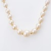 Graduated, 52cm Akoya Cultured Pearl Necklace