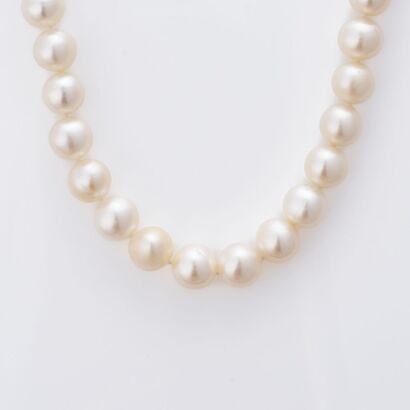 Semi Round, 44cm White Cultured Pearl Necklace