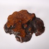 A Chinese Hardwood Naturalistic Stand - 2