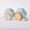 A Pair of Chinese Early 15th to 16th Century Blue and White Jars (Underglaze-blue Fu Marks) - 3