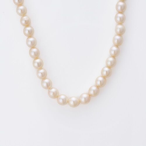 Pearl World, 40cm Cream Semi-round Cultured Pearl Necklace with Box