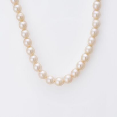 Pearl World, 40cm Cream Semi-round Cultured Pearl Necklace with Box
