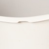 A Set of Six Eero Saarinen Tulip Style Dining Chairs - 3