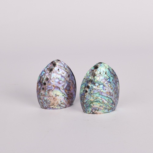 A Paua Shell Salt and Pepper Shaker Pair