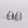 A Paua Shell Salt and Pepper Shaker Pair