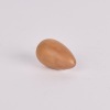A Rimu Egg