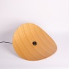 A Triboa Halo Pendant Lamp - 2
