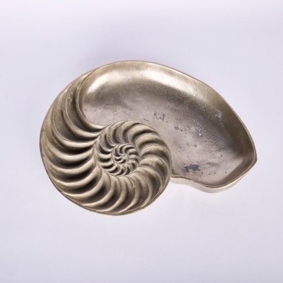 A Heavy Nautilus Dish