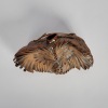 A Studio Pottery Wall Hanging Form