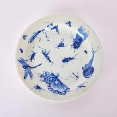 A Chinese19th Century Qing Dynasty Blue and White 'Beetle' Dish (Taoshengxuan Jisan Zhi Mark)