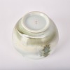 A Japanese Early 20th Century Polychrome 'Landscape' Waterpot - 2