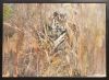 A Chinese Painting of a Tiger (The Passage of Time) ( He Zhong Stamp)