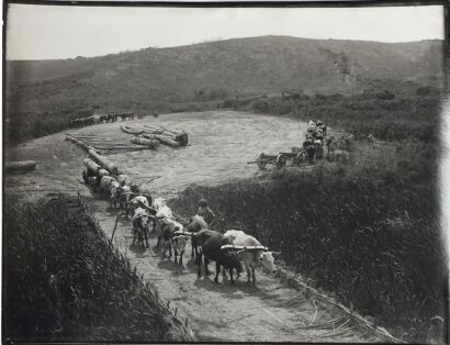 ARTHUR NORTHWOOD untitled
