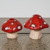 Two Large Mushrooms