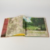 Moroccan Gardens by Charlotte Seeling and Corinne Korda