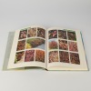 The Gardener's Encyclopedia of New Zealand Native Plants by Yvonne Cave and Valda Paddison - 2