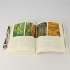 The Native Garden by Isobel Gabites and Rob Lucas - 2