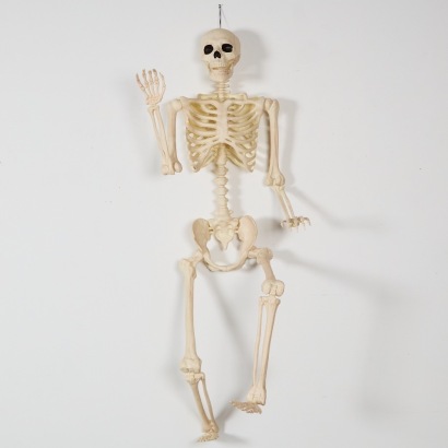 A Full-Size Skeleton