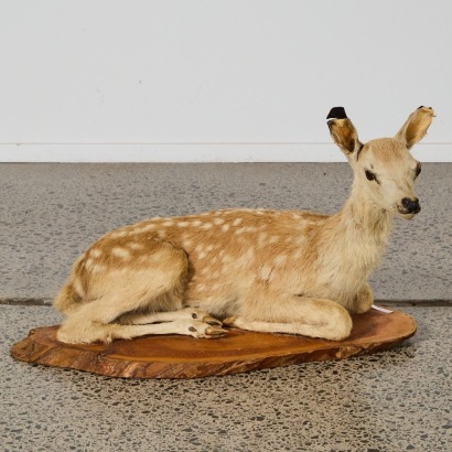 An Antique Taxidermy Fawn